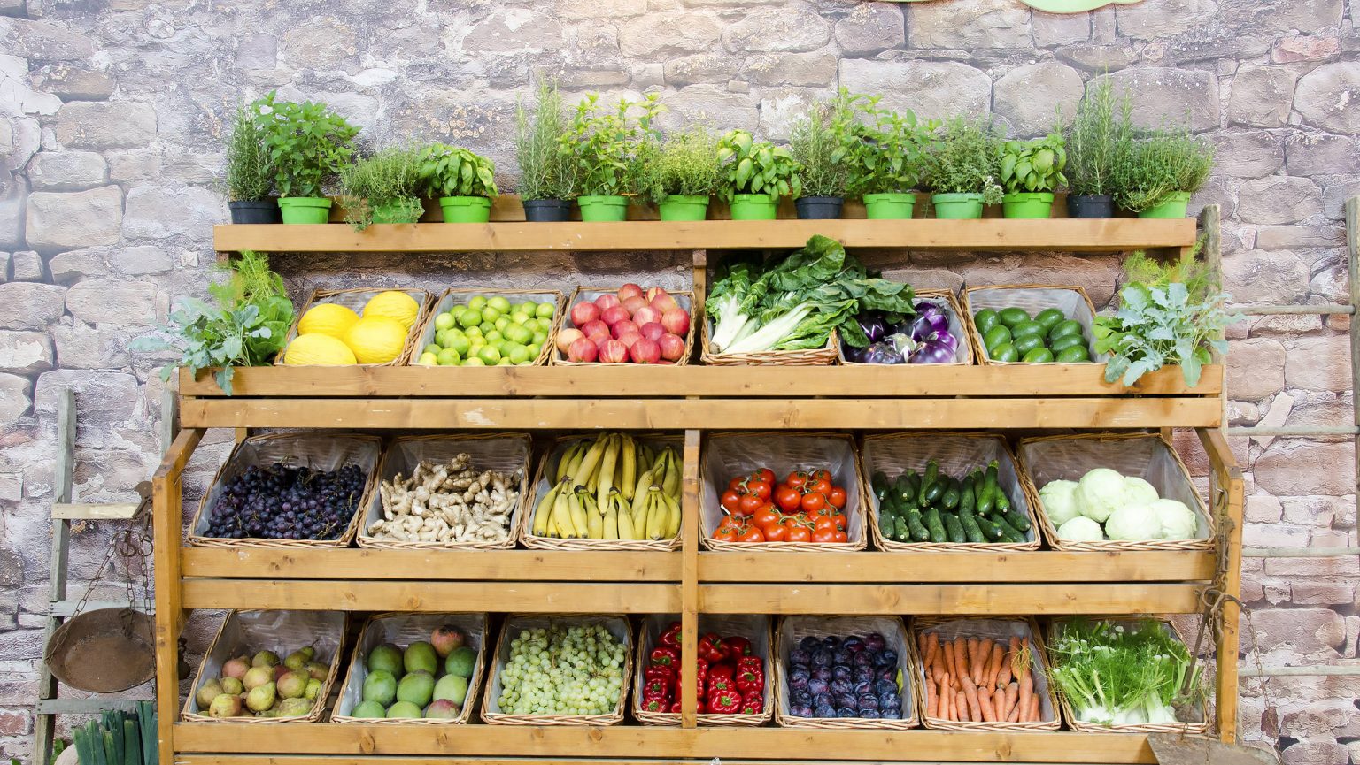 Abre una tienda de comida vegana y triunfa Doctor en Alaska