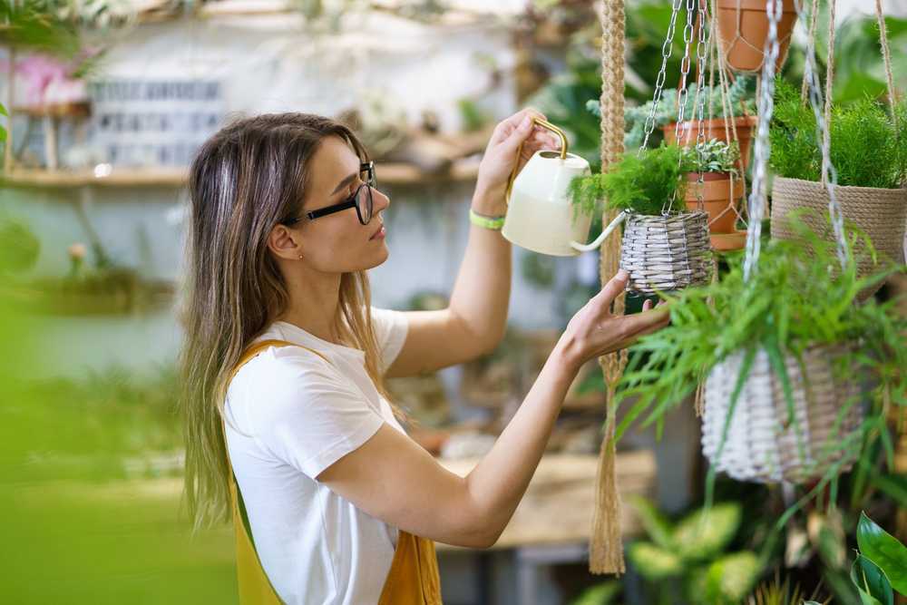 Crea tu empresa de vivero de plantas